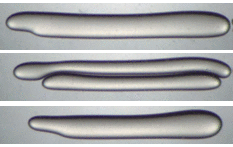 Three pairs of filaments. One pair has joined together into a smooth grey tube, the second has remained as two separate grey tubes, and the third pair has joined together but shrunk towards a spherical shape.